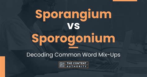 Sporangium vs Sporogonium: Decoding Common Word Mix-Ups