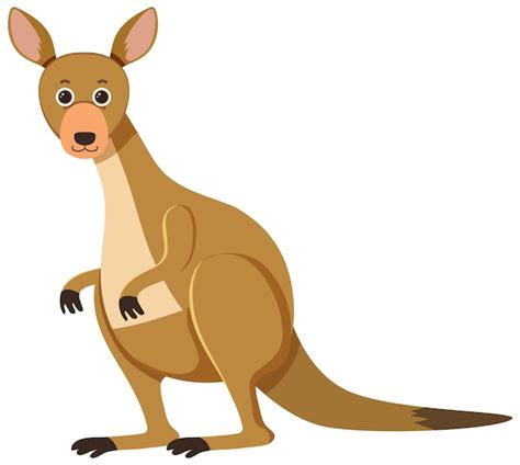 Cartoon Kangaroo Images - Free Download on Freepik