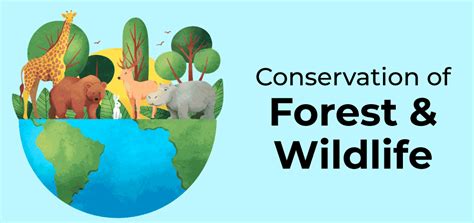 Conservation of Forest and Wildlife in India - GeeksforGeeks