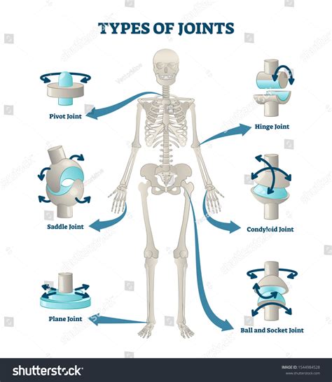 852 Pivot Joint Images, Stock Photos, 3D objects, & Vectors | Shutterstock