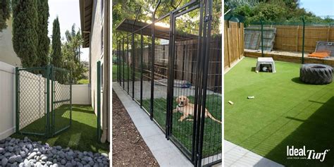 Dog Run Ideas: Definitive Guide To Backyard Dog Potty Areas