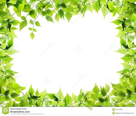 Natural leaves border stock image. Image of floral, decorate - 24110905 ...