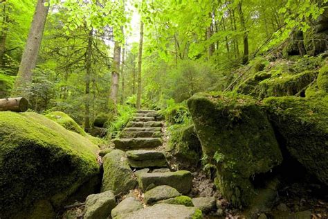 A hiking trail in the Black Forest, Germany. The Black Forest Railway ...