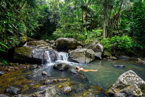 El Yunque Rainforest: The Only Rainforest in The United States — No ...