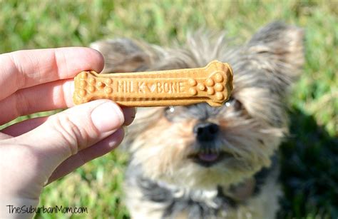 An Easy Way To Brush Dog Teeth - Milk-Bone Brushing Chews - TheSuburbanMom