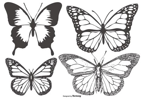 Butterfly Drawing Vector Art, Icons, and Graphics for Free Download