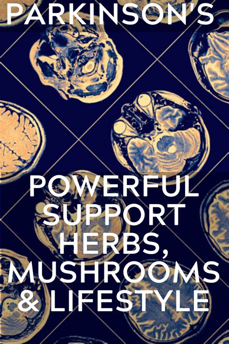 Parkinson’s | Powerful Support With Herbs, Mushrooms & Lifestyle ...