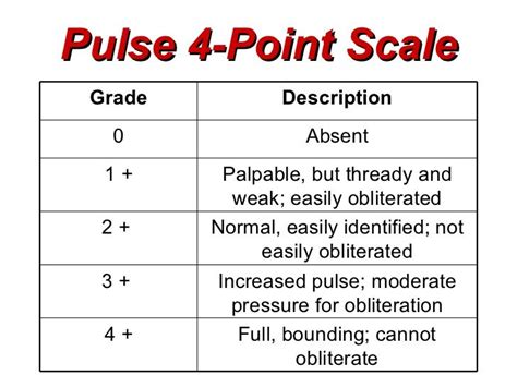 Pulse Grading | Nursing school tips, Nursing school notes, Nursing ...