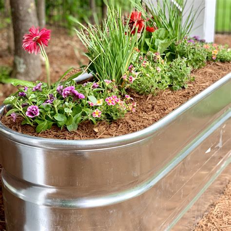 Transform a Water Trough into a Planter