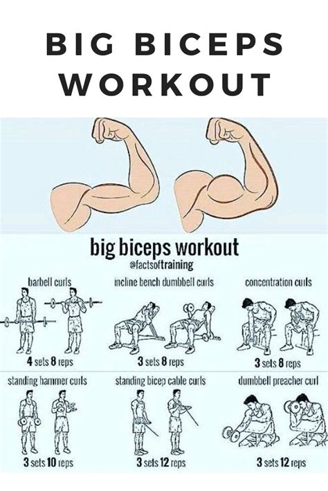 Perfect Workout for biceps. #guns #biceps #workout #exercise #muscles ...