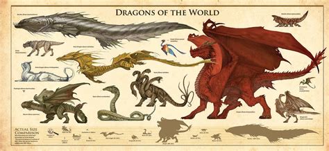 The Dracopedia Project: Dracopedia: Dragons of the World Poster