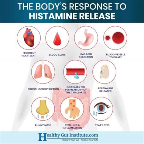 Is a Histamine Issue Holding you Back? Learn to spot Histamine Rich ...