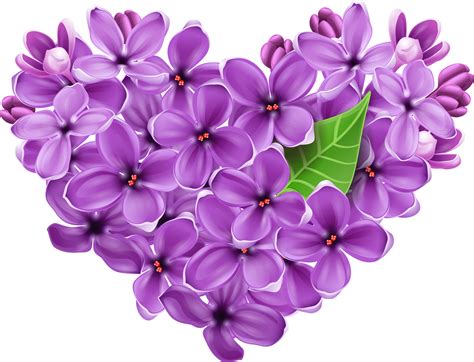 Free Lilac Flower Transparent, Download Free Lilac Flower Transparent ...