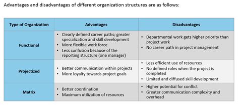 Organizational Structures, Advantages and Disadvantages