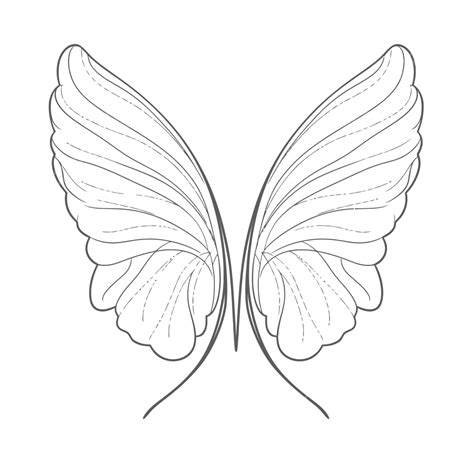 Coloring Pages Of Butterfly Wings Outline Sketch Drawing Vector ...