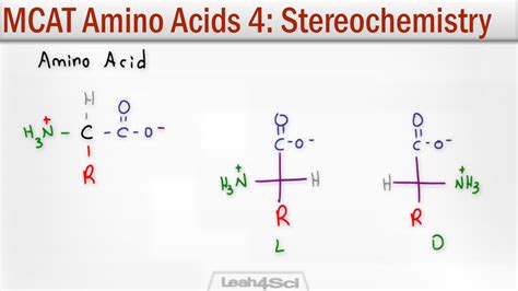 Alanine Is Shown as a Fischer Projection.