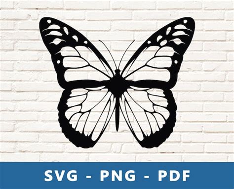 Butterfly SVG Butterfly Stencil Butterfly Printable Cut | Etsy