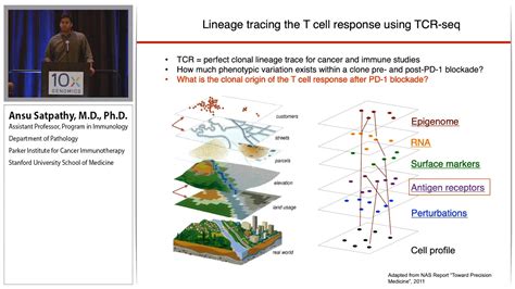 Single Cell ATAC - 10x Genomics