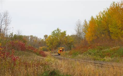 Fall Colors | Accent on Natural Landscaping