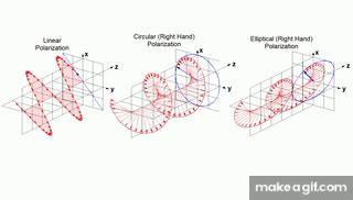 Linear, Circular and Elliptical Polarization Animation in a Single Shot ...