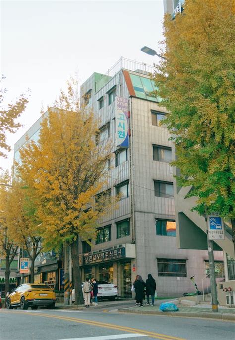 Modern Building in a City Street, in Autumn · Free Stock Photo