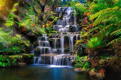 Small cascade waterfall in exotic rainforest · Stock, exotic waterfall ...