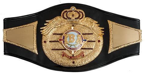 International Boxing Association | Sports belt, Boxing champions ...