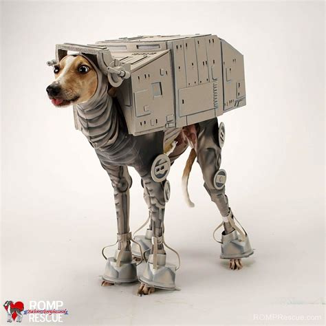 38 Italian Greyhound Halloween Costumes -ROMP Italian Greyhound ...