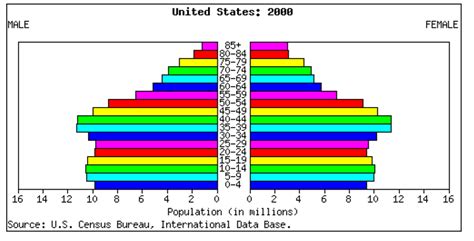 3.3: Age structure diagrams - Engineering LibreTexts