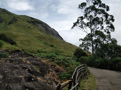 Anamudi Peak (Munnar) - 2021 All You Need to Know Before You Go (with ...