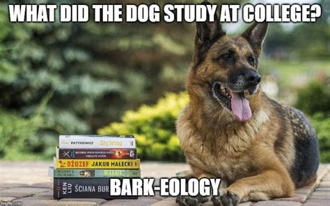 Dog Barking Meme | Dog puns, Dogs, Shepherd dog breeds