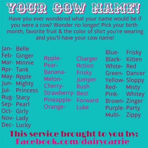 Cow names! | Goin Showin | Cow names, Showing livestock, Show cows