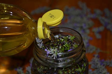 LAVENDER OIL : 4 Steps - Instructables