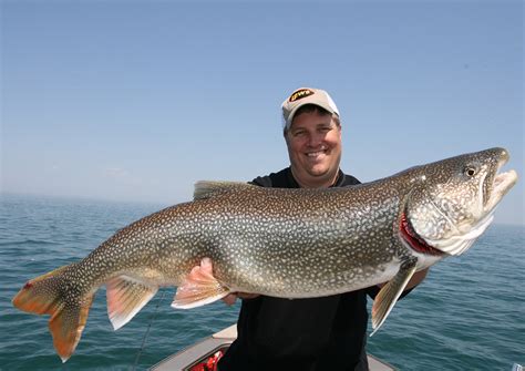 Best Lake Trout Lures of 2023, Tested and Reviewed | Outdoor Life