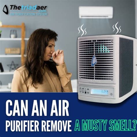 Air Purifiers for Musty Smell Removal | The Triad Aer