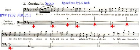 Continuo in Bach's Vocal Works Part 4 - Examples from the Score