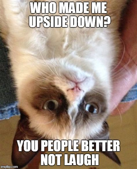 Grumpy Cat Meme - Imgflip