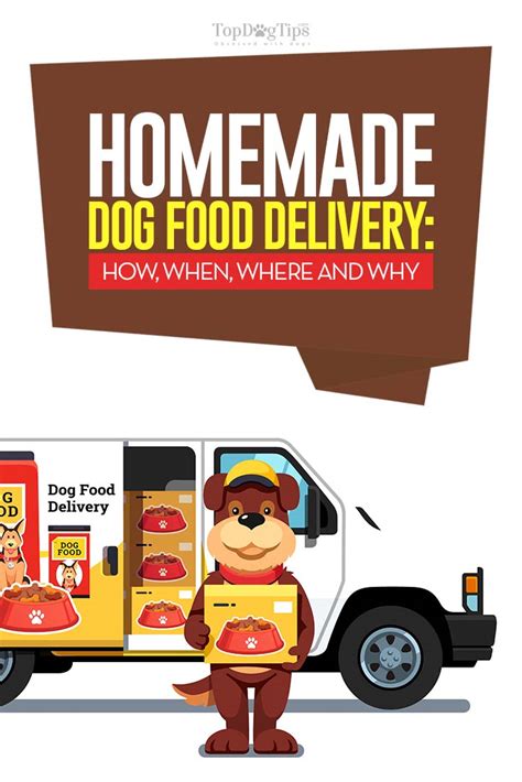 10 Best Homemade Dog Food Delivery Services from around the Globe