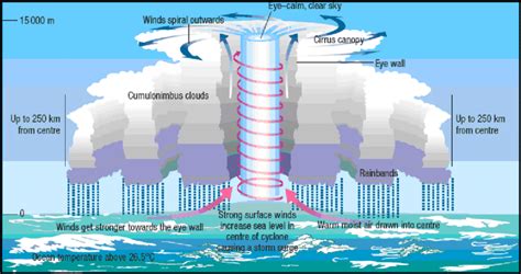 Tropical Cyclone Formation Diagram