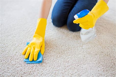 Carpet Cleaning Tips And Tricks | Carpet Cleaners Near Me