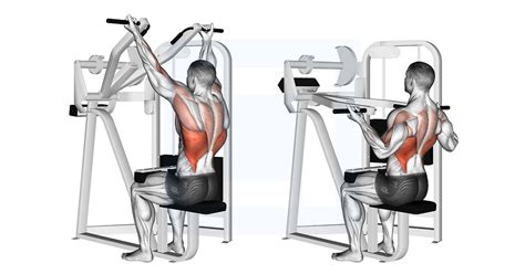 Reverse Grip Machine Lat Pulldown - Guide, Benefits, and Form