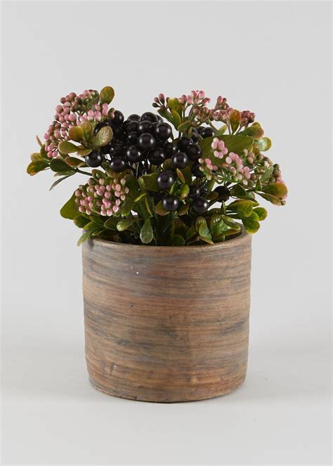 Floral & Berry Arrangement in Pot (24cm x 13cm x 13cm) – Brown | Easy ...