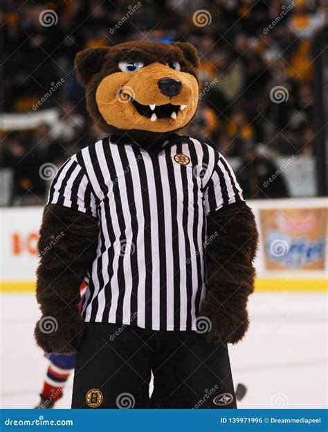 Blades Boston Bruins Mascot Photos - Free & Royalty-Free Stock Photos ...