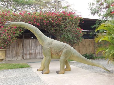 Baby Brachiosaurus Baby Brachiosaurus Statue