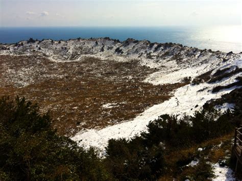 Image of the Week: Japanese, Volcanoes, and Tangerines (Jeju Part 3/3)