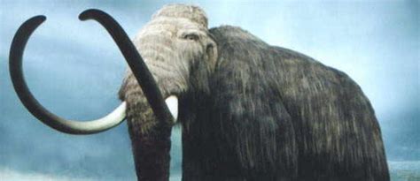 Scientists Get Even Closer To Cloning A Woolly Mammoth | GIANT FREAKIN ...