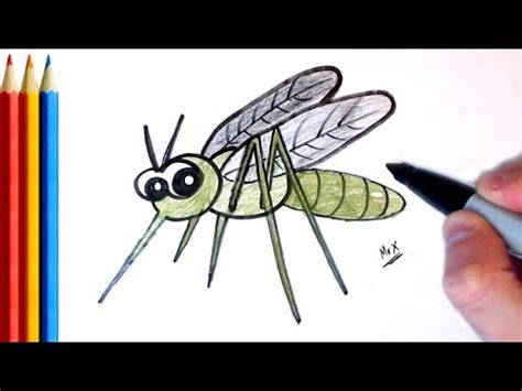 Anopheles Mosquito Drawing