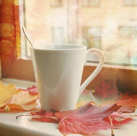 Fall Morning Coffee Pictures, Photos, and Images for Facebook, Tumblr ...