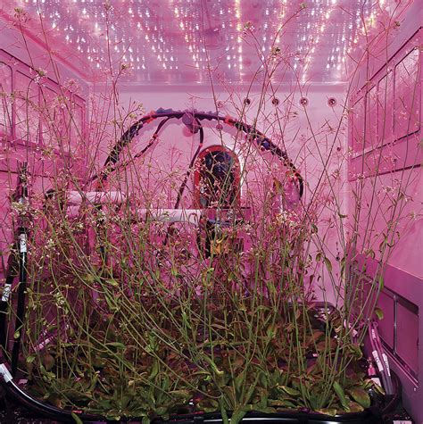 Space farming | Washington State Magazine | Washington State University