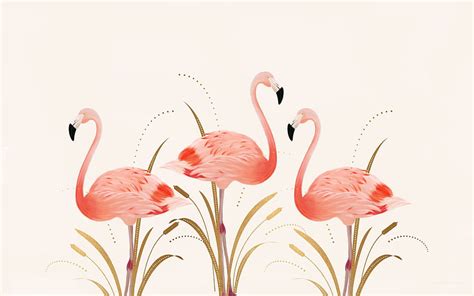 Top more than 60 flamingo wallpaper desktop latest - in.cdgdbentre